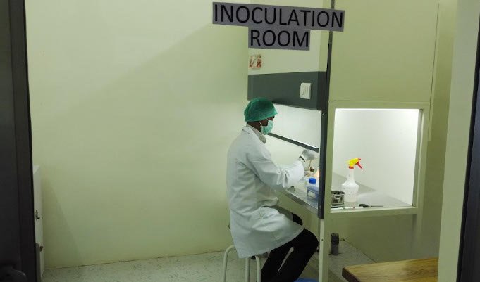 In-house Inoculation Room
